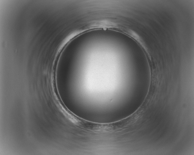 X0000079321187200611171115