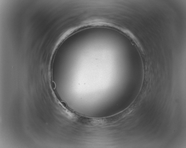 X0000079321191200611171115