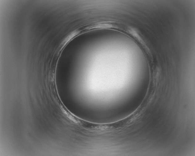 X0000079321193200611171115