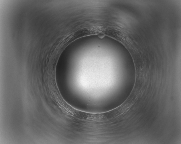 X0000079321201200611171114