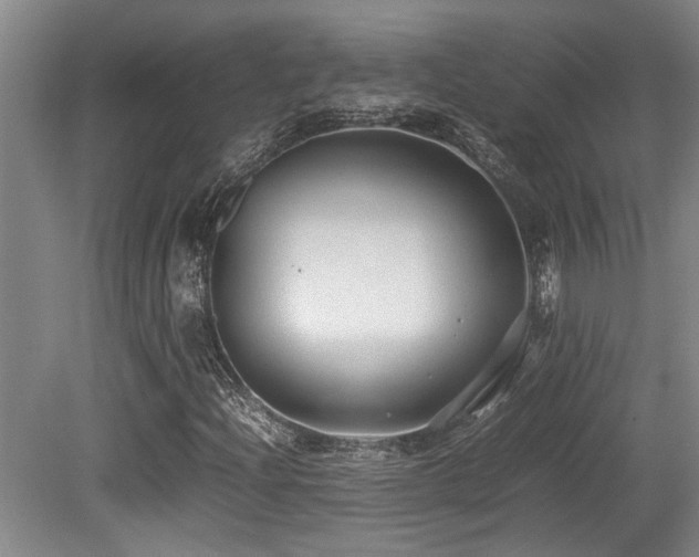 X0000079321204200611171114