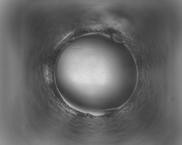 X0000079321205200611171114