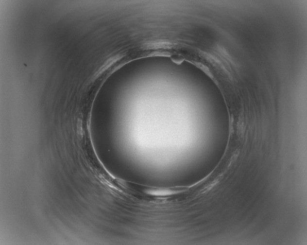 X0000079321209200611171114