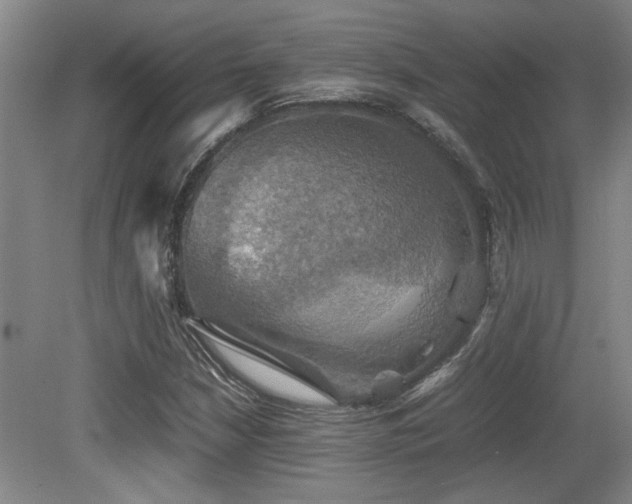 X0000079321210200611171114