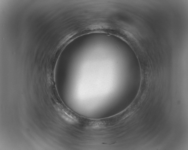 X0000079321217200611171114