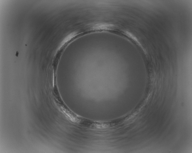 X0000079321219200611171114
