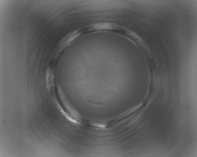 X0000079321225200611171114