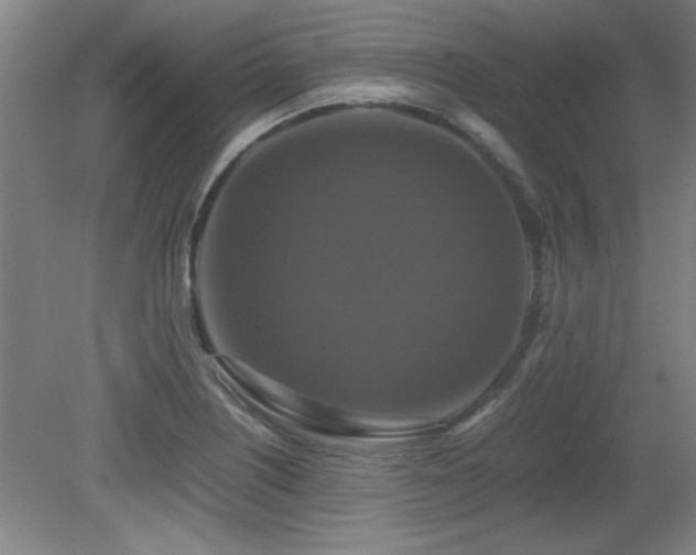 X0000079321226200611171114