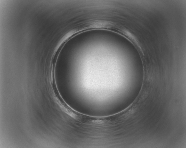 X0000079321227200611171114