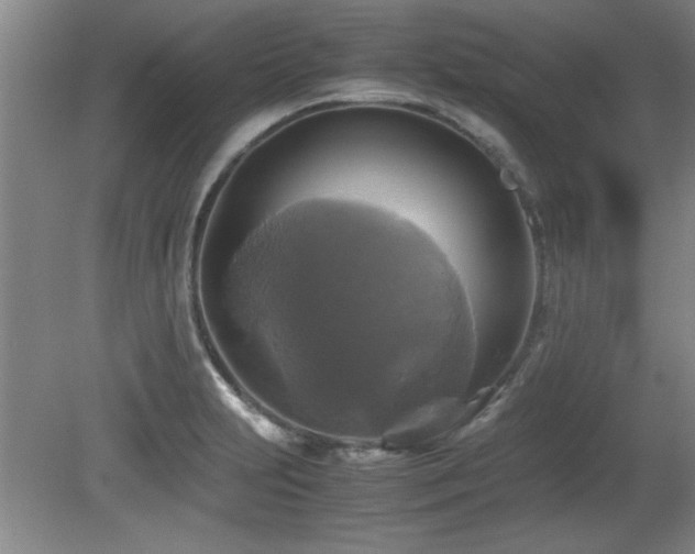 X0000079321231200611171114