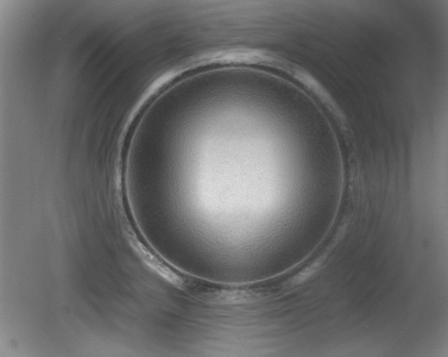 X0000079321232200611171114