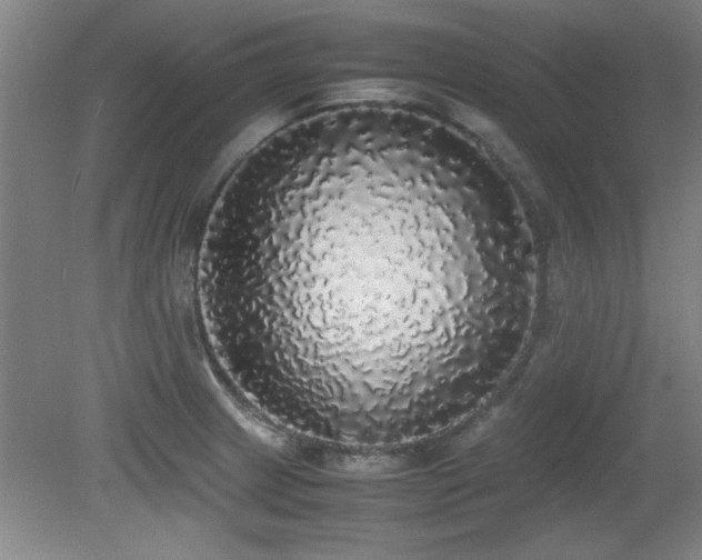 X0000079321233200611171114