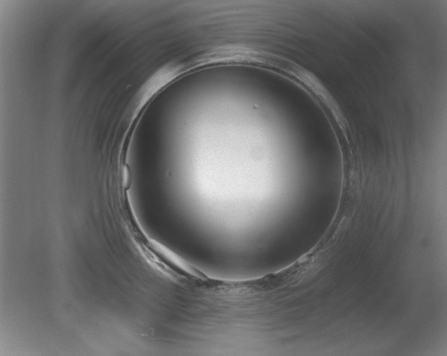 X0000079321242200611171114