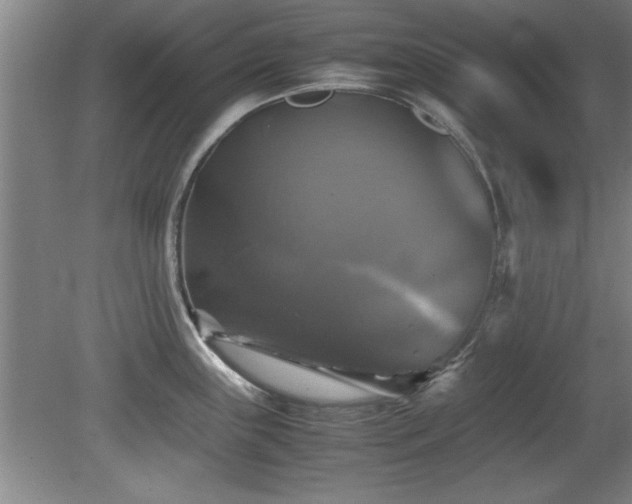 X0000079321243200611171114