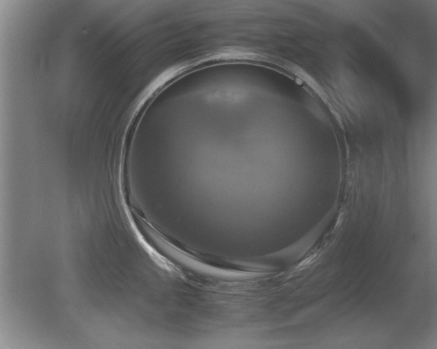 X0000079321245200611171114