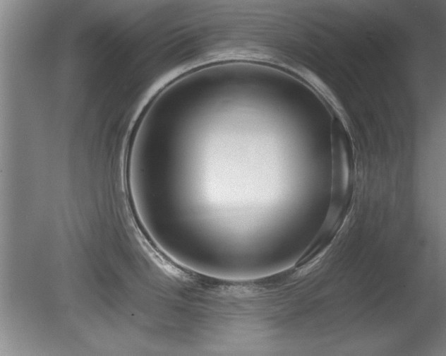 X0000079321246200611171114