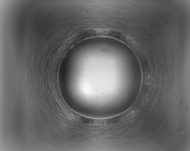 X0000079321249200611171114
