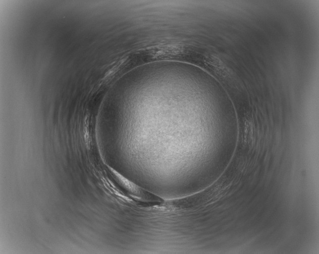 X0000079321250200611171114
