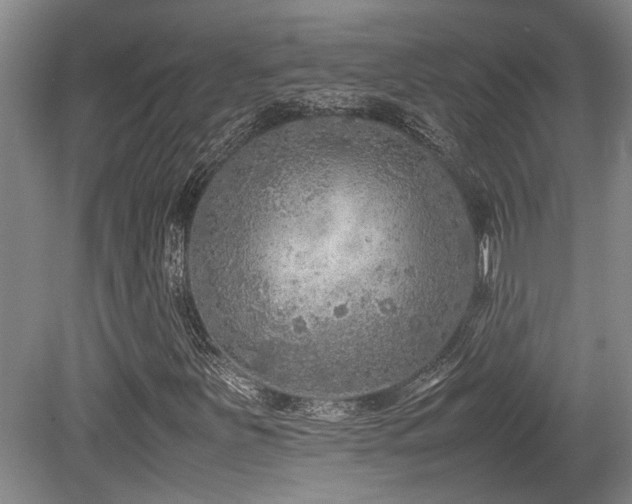 X0000079321251200611171114