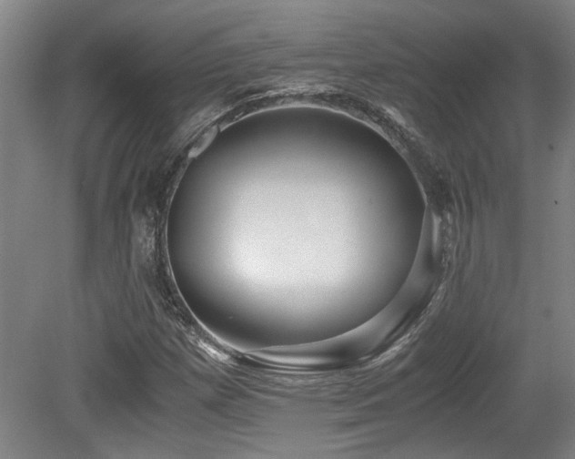 X0000079321257200611171114