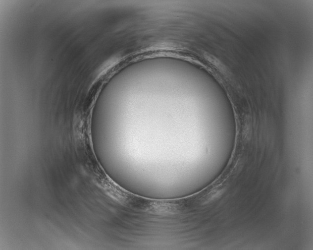 X0000079321258200611171114