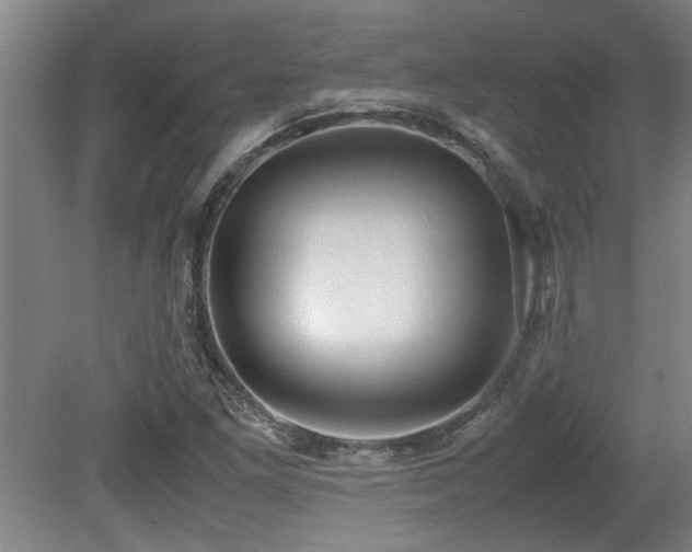X0000079321261200611171114