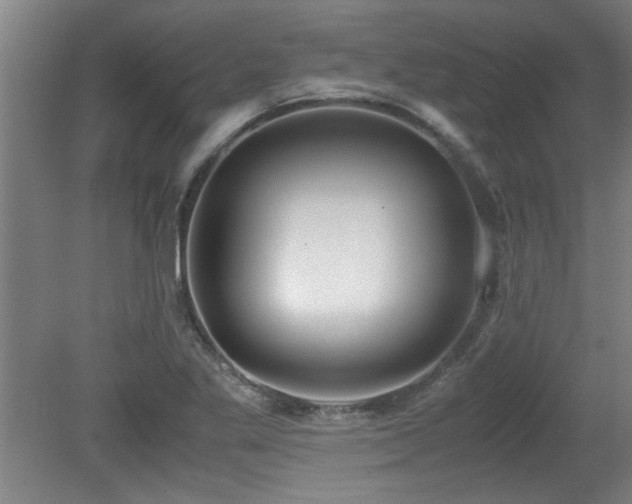 X0000079321269200611171113