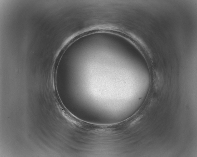 X0000079321272200611171113
