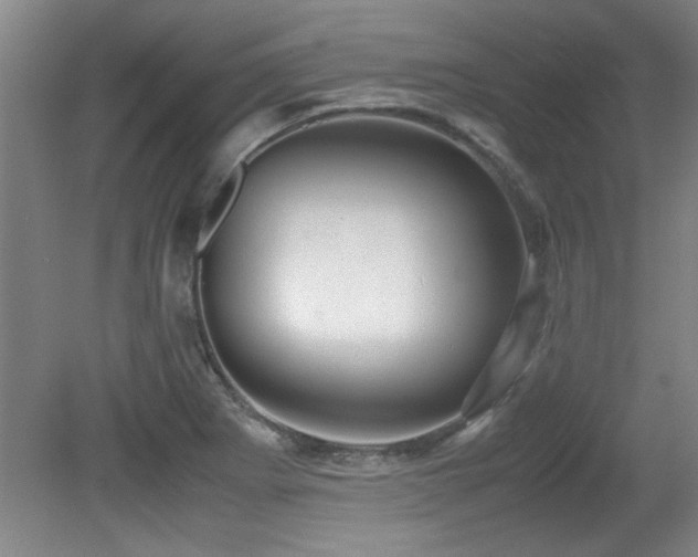 X0000079321273200611171113