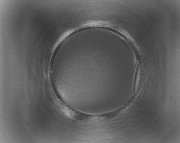 X0000079321277200611171113