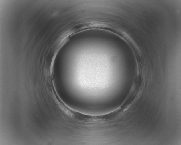 X0000079321281200611171113