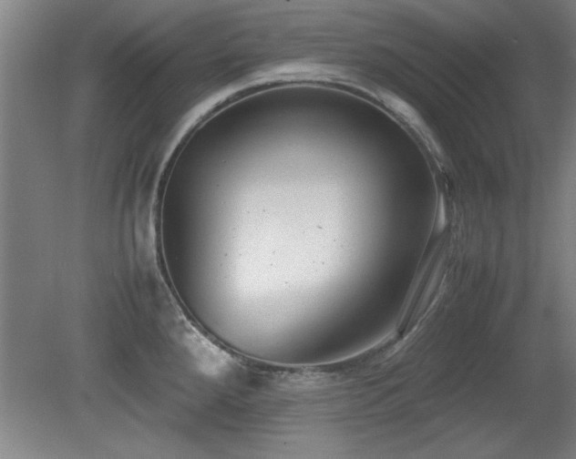 X0000079321288200611171113