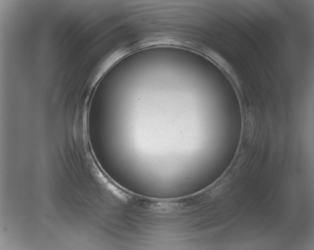 X0000079321290200611171113
