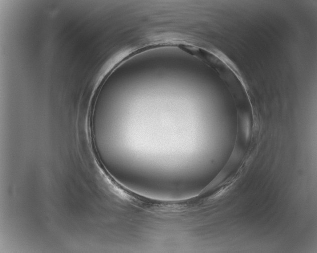 X0000079321293200611171113