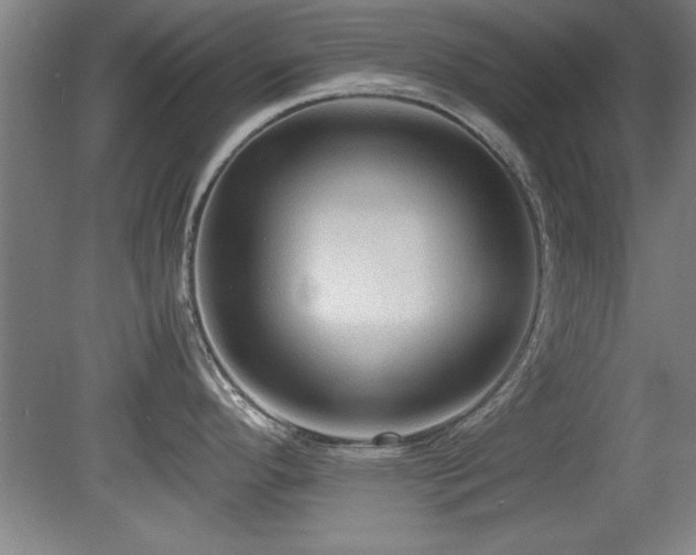 X0000079321296200611171113