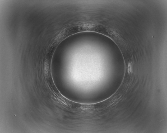 X0000079321299200611171112