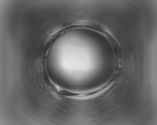 X0000079321304200611171112