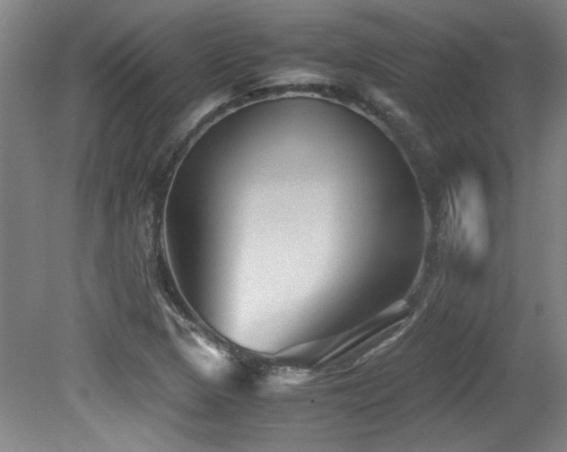 X0000079321313200611171112