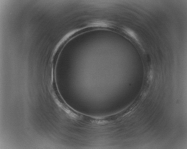 X0000079321323200611171113