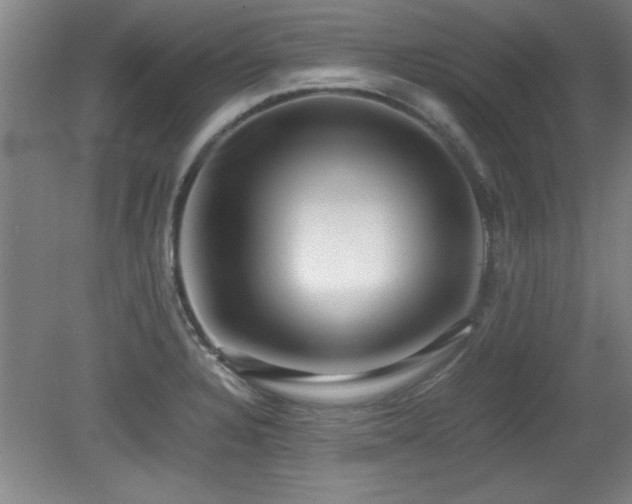 X0000079321328200611171113