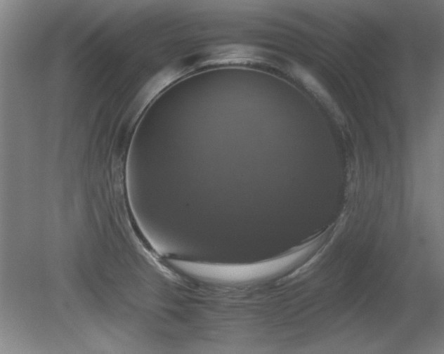 X0000079321329200611171113