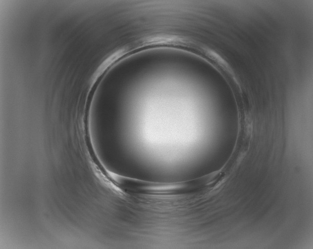 X0000079321330200611171113