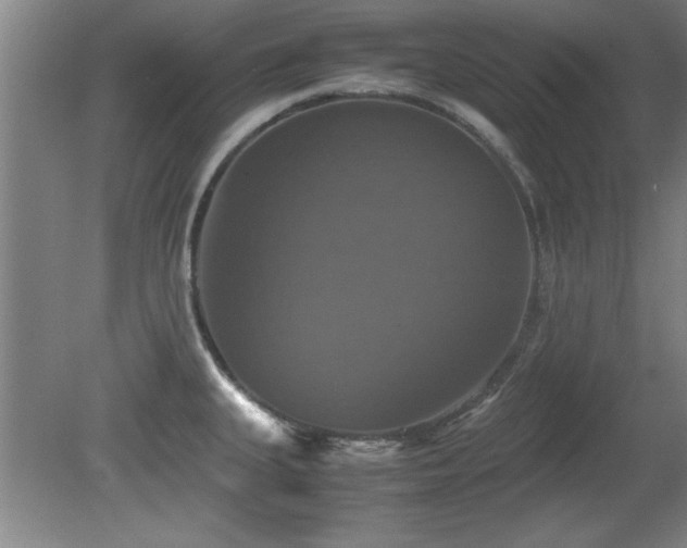 X0000079321335200611171113