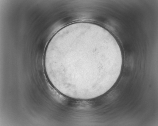 X0000079321338200611171113