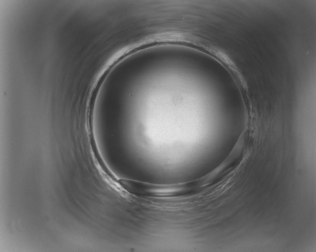 X0000079321342200611171113