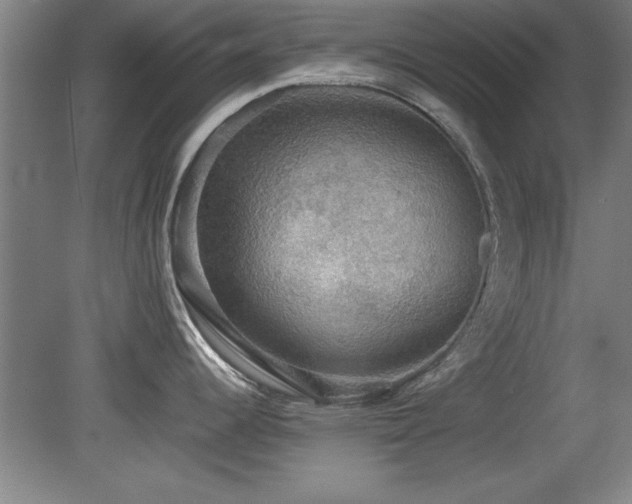 X0000079321344200611171113