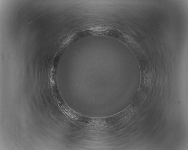 X0000079321346200611171112