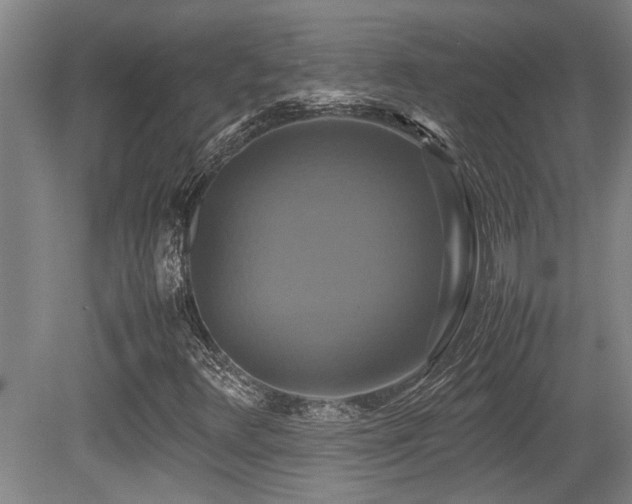X0000079321348200611171112