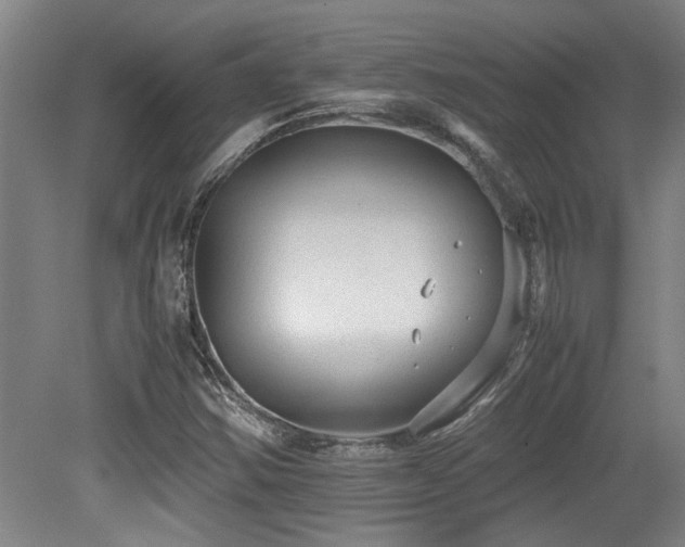 X0000079321354200611171112