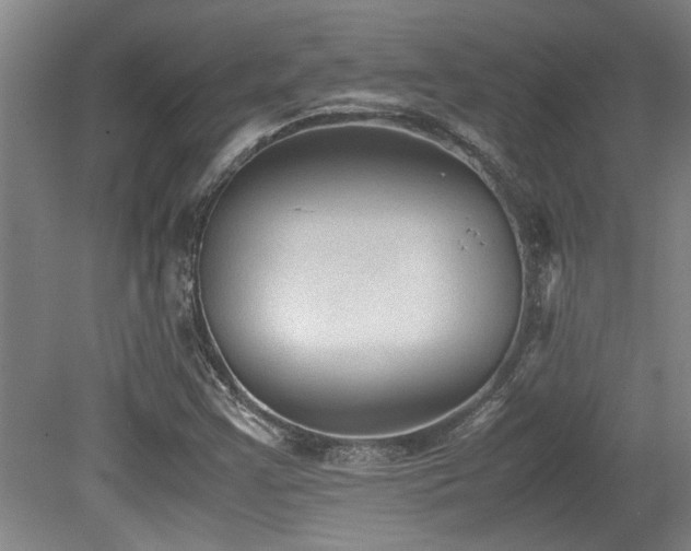 X0000079321355200611171112